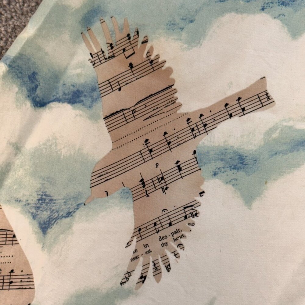 Maeve Anthropologie Song Bird Sky Print Midi A-Line Skirt 100% Cotton US Zero - Picture 3 of 5